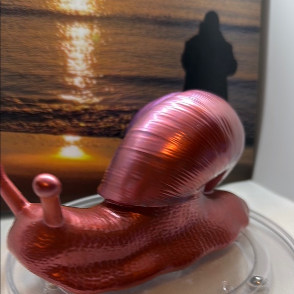 A Unique Resin Piece ,Snail Art - Picture 10 of 12